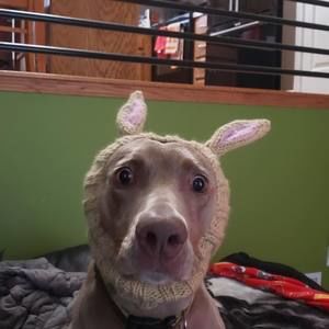 Meet your Posher, Bethany